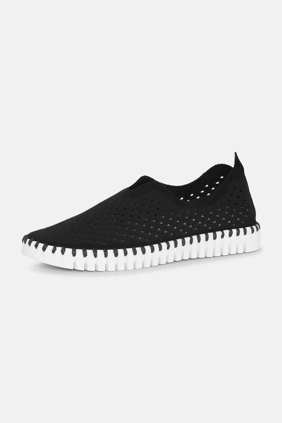 Tulip Flat