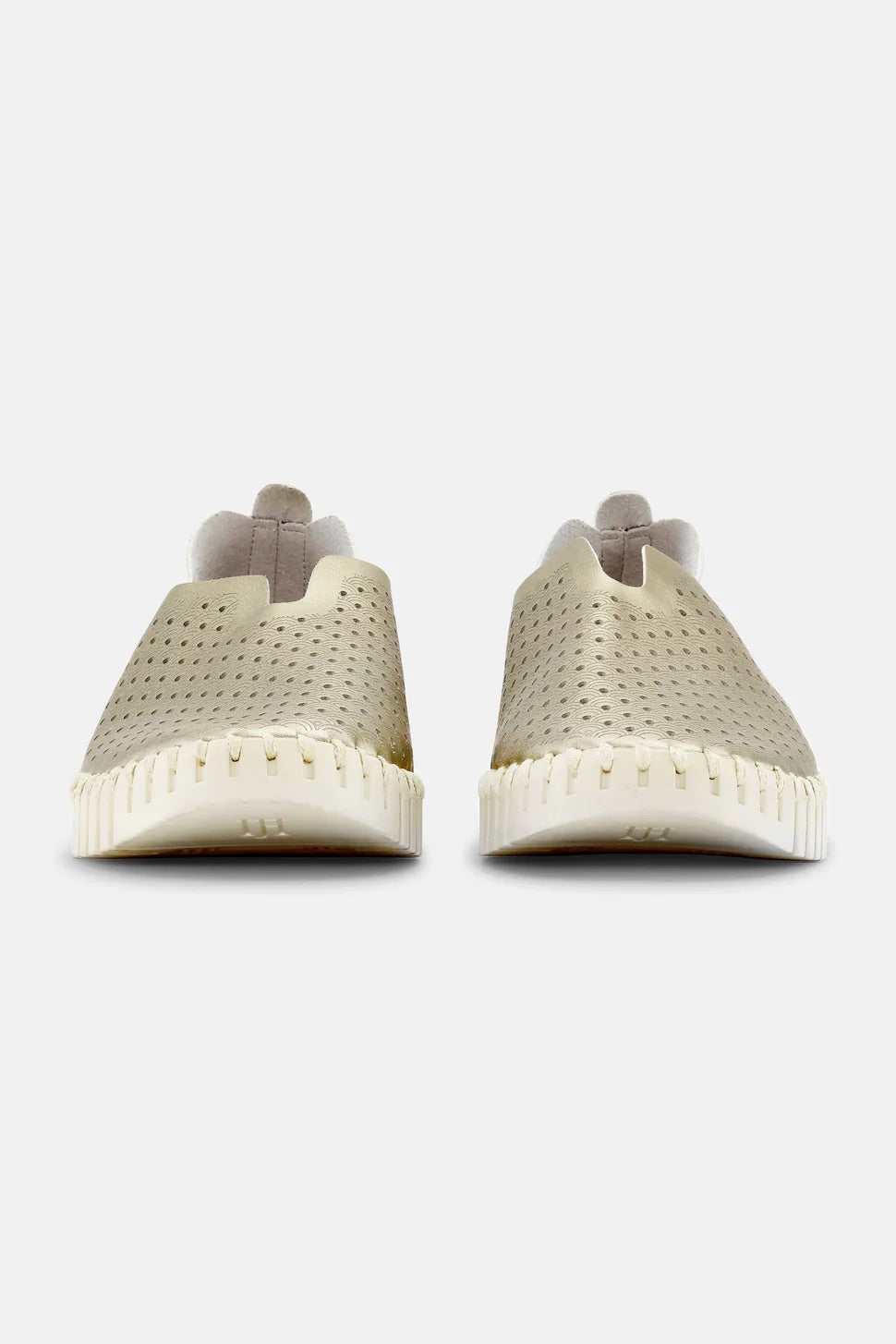 Tulip Flat