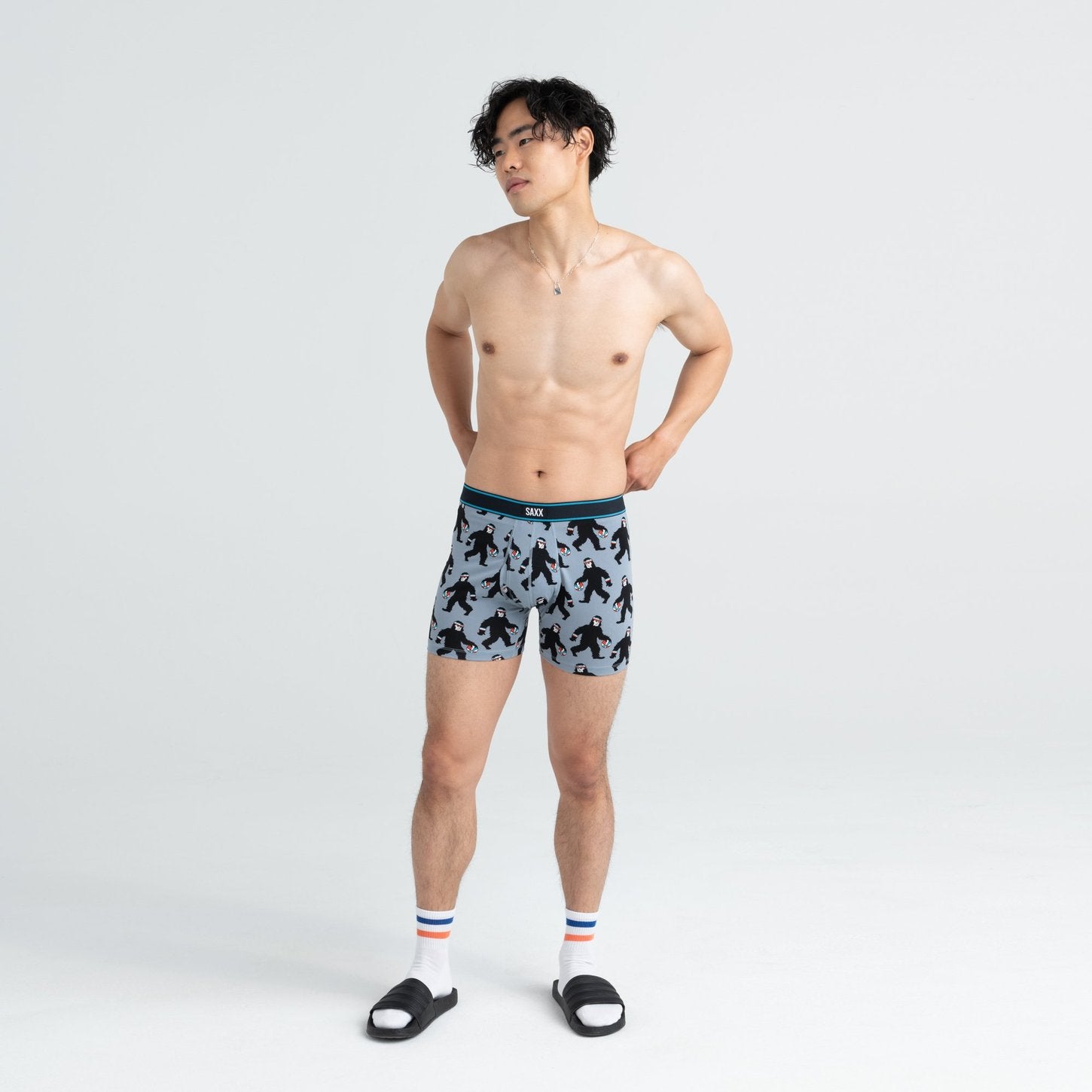 DAYTRIPPER BOXER BRIEF - GREY HARRY & THE HOOPS