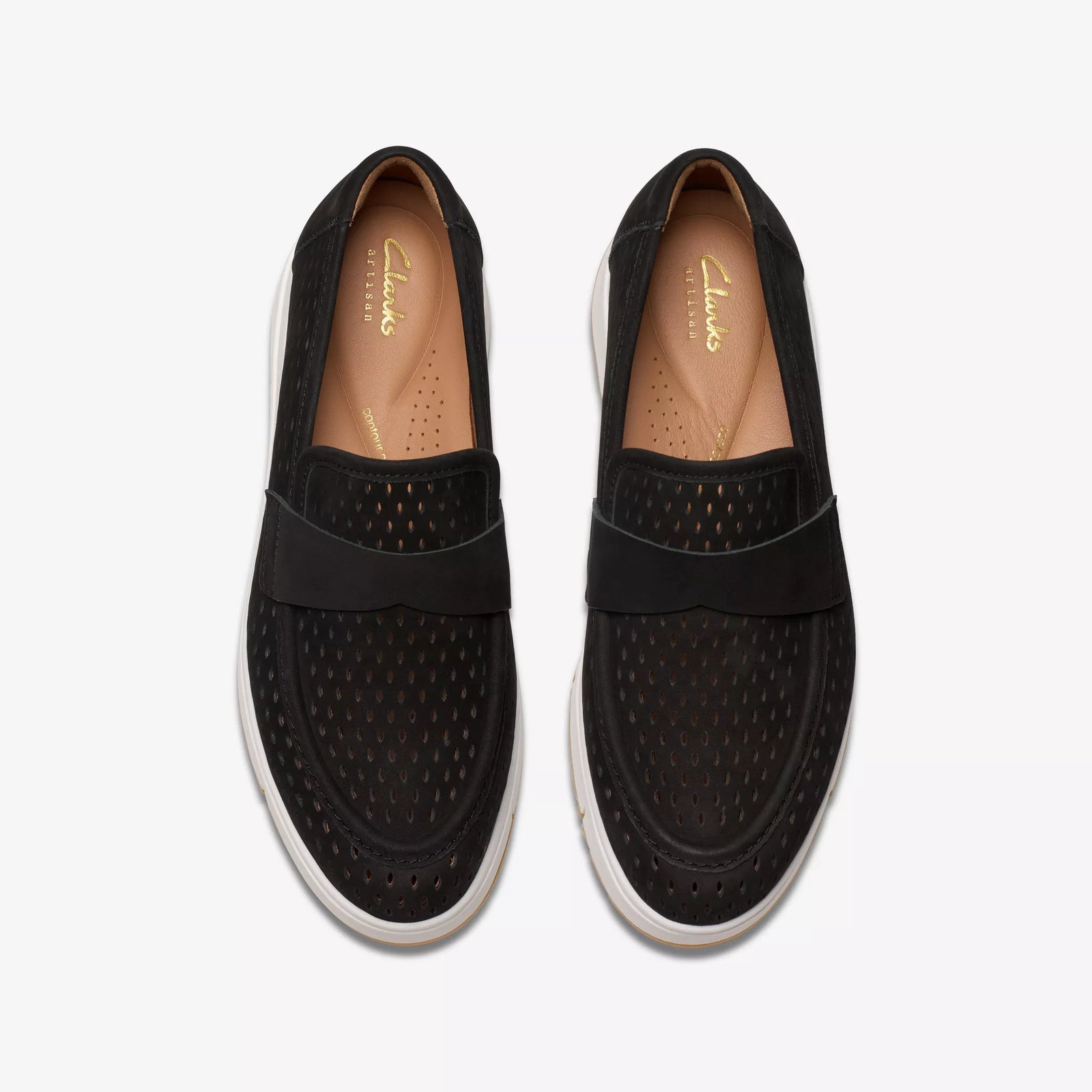 Loriini Edge