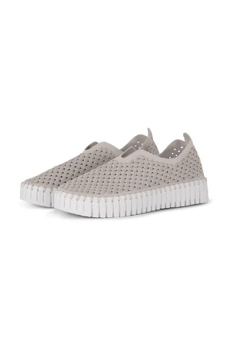 Platform Tulip Flat
