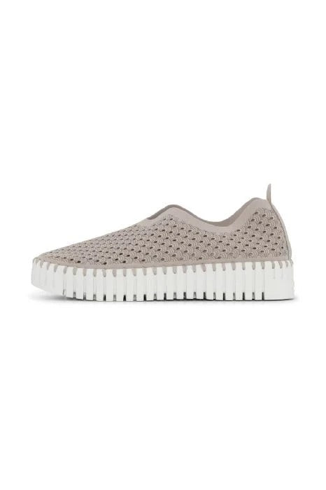 Platform Tulip Flat