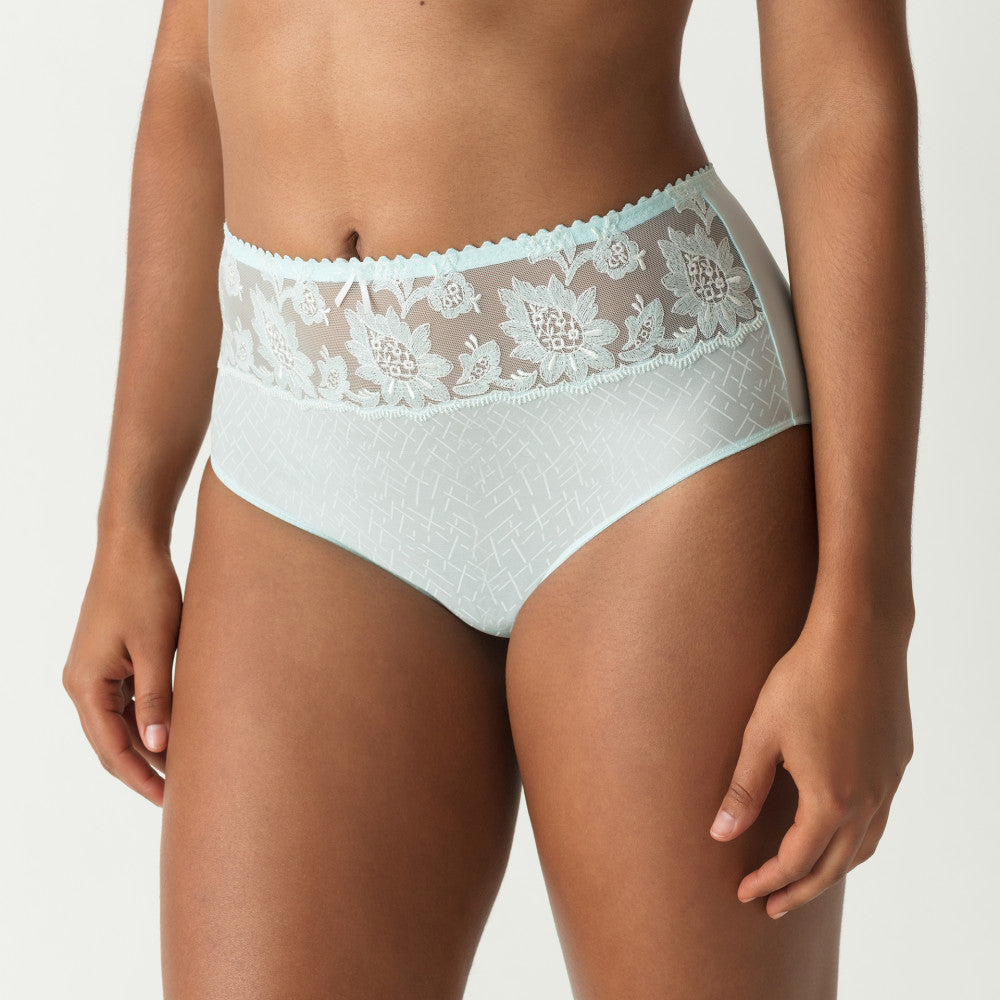 ALLEGRA BRIEF